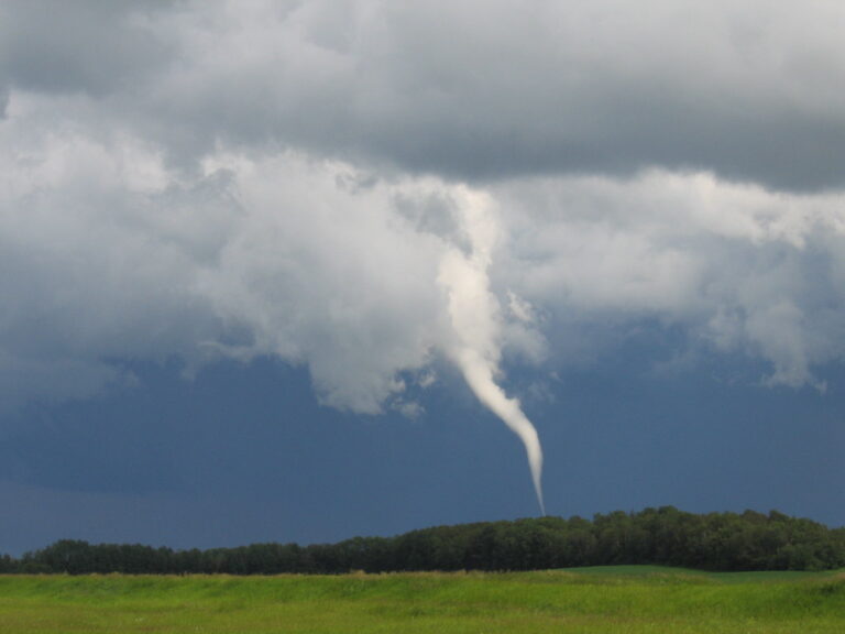 Yorkton