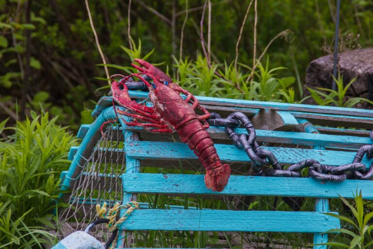 Nova Scotia