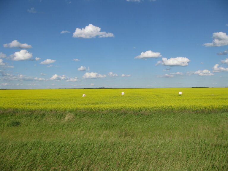 Estevan
