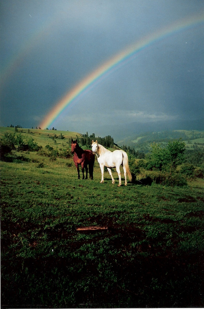 Idaho