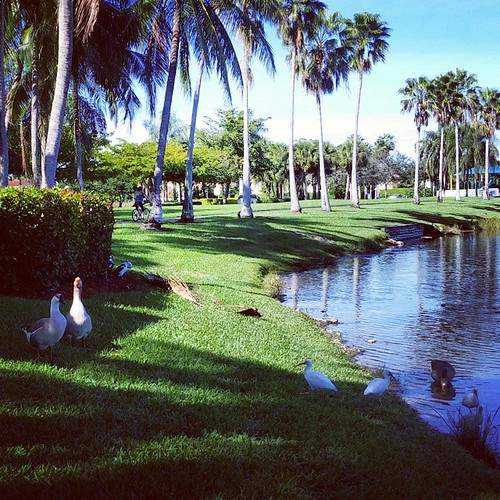 Pembroke Pines