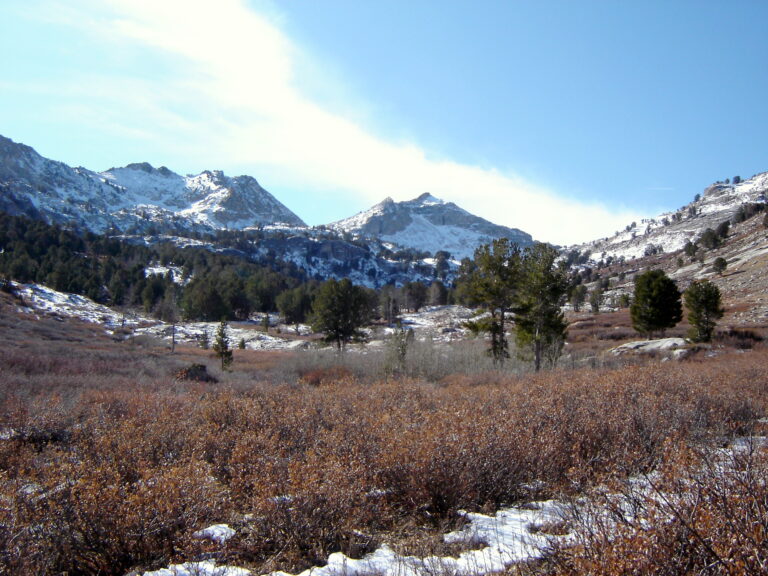 Spring Creek