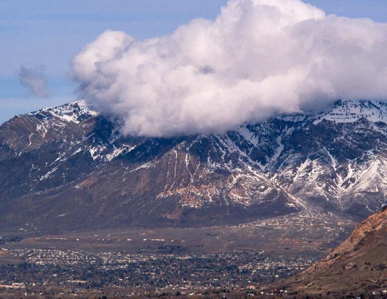 Ogden