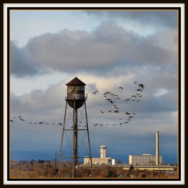 Commerce City