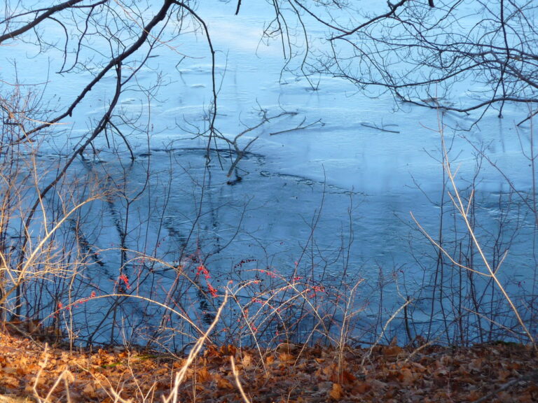 Hopkinton