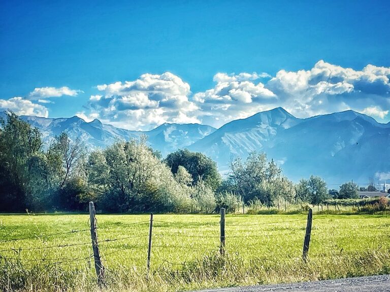 Lehi
