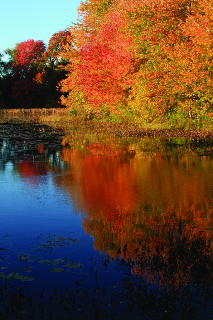 Milford