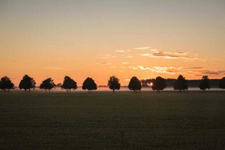 Taylorsville